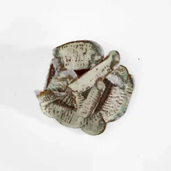 Art & Sculpture<Kelly Wearstler terra wall piece ii AQUAMARINE